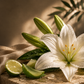 Huile parfumée Rêve de Lys ATMOS SCENT – thé blanc, aloe vera et lys